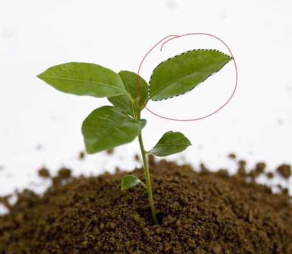 آموزش طراحی پس زمینه ورزشی در فتوشاپ